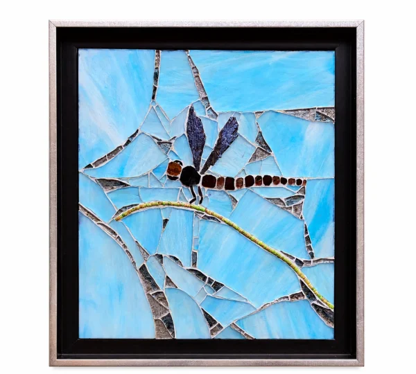 DRAGONFLY BLEU
