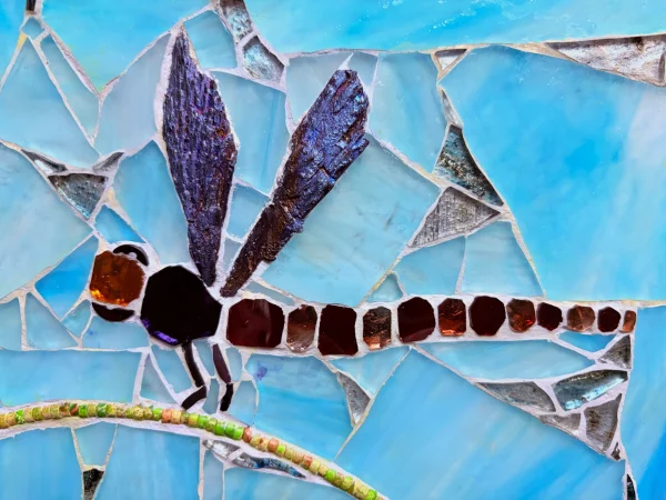 DRAGONFLY BLEU
